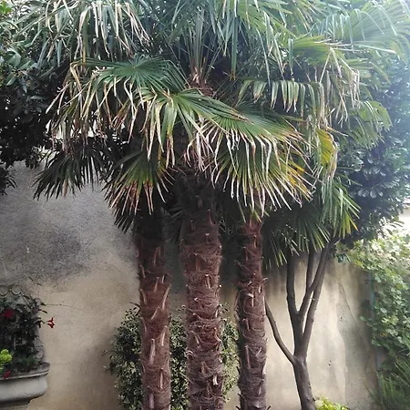 Villa-Angelina-2